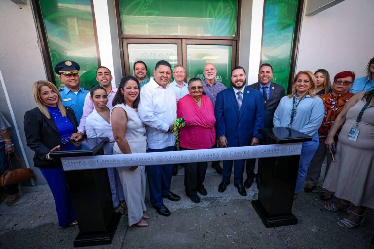 WhatsApp Image 2026-04-12 at 12.29.09 PM